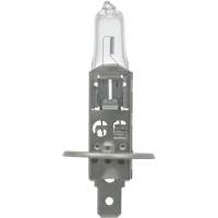 64155 Basic Automotive Bulb, Halogen, 78 W, Off White M & M Nord Ouest Inc