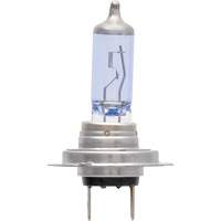 Ampoule de feu avant SilverStar zXe H7, Halog&egrave;ne/DHI, 56 W, Blanc M & M Nord Ouest Inc