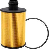 P40147 Lube Oil Filter Element M & M Nord Ouest Inc