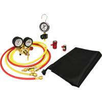 Automotive A/C Nitrogen Leak Test Kit with Regulator M & M Nord Ouest Inc