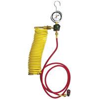 Automotive A/C Nitrogen Leak Test Kit with Regulator M & M Nord Ouest Inc