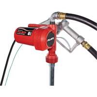 Pompe de transfert de carburant 12 V CC avec pistolet M & M Nord Ouest Inc
