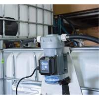 Pompe de transfert de fluide d'&eacute;chappement diesel (DEF) 115 V CA avec support pour cuve GRV et pistolet M & M Nord Ouest Inc