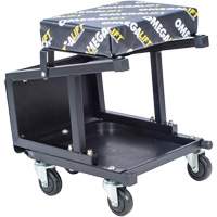 2-in-1 Seat-Stool Combo M & M Nord Ouest Inc