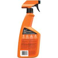 Multi-Purpose Auto Cleaner, 16 oz./473 ml, Trigger Bottle M & M Nord Ouest Inc