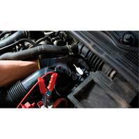 Pompette de purge de frein Brake-Pro &agrave; structure haute avec adaptateurs M & M Nord Ouest Inc