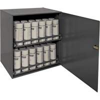 Aerosol Storage Cabinet, Steel, 21-7/8" H x 15-15/16" W x 20-5/16" D, Grey M & M Nord Ouest Inc