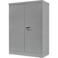 Armoire de rangement &agrave; hauteur de comptoir, Acier, 2 Tablettes, 42" h x 48" la x 24" P, Gris M & M Nord Ouest Inc