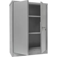 Armoire de rangement &agrave; hauteur de comptoir, Acier, 2 Tablettes, 42" h x 48" la x 24" P, Gris M & M Nord Ouest Inc