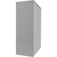 Armoire de rangement &agrave; hauteur de comptoir, Acier, 2 Tablettes, 42" h x 48" la x 24" P, Gris M & M Nord Ouest Inc
