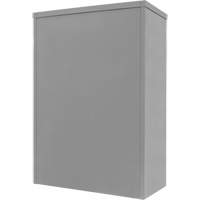 Armoire de rangement &agrave; hauteur de comptoir, Acier, 2 Tablettes, 42" h x 48" la x 24" P, Gris M & M Nord Ouest Inc