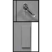 Armoire de rangement &agrave; hauteur de comptoir, Acier, 2 Tablettes, 42" h x 48" la x 24" P, Gris M & M Nord Ouest Inc