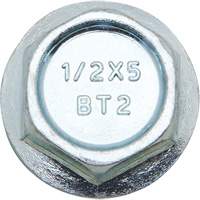 Boulons Wedge Bolts, Acier au carbone, 1/2" x 2" M & M Nord Ouest Inc