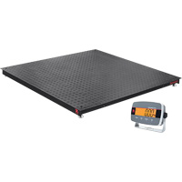 Balances de plancher Defender 3000, Capacit&eacute; de 5000 lb, 4' lo x 4' la M & M Nord Ouest Inc