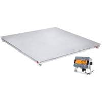 DEFENDER 3000 Floor Scale, 2500 lbs. Capacity, 48" W x 48" L M & M Nord Ouest Inc