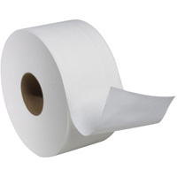 Advanced Soft Mini Toilet Paper, Jumbo Roll, 2 Ply, 751' Length, White M & M Nord Ouest Inc