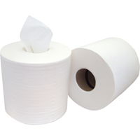 Chiffons &agrave; distribution par le centre Pro Tuff-Job, Sp&eacute;cialis&eacute;, 400' lo x 8" la M & M Nord Ouest Inc