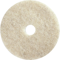 Tampons pour l'entretien des planchers, 21", Brunissage, Brun M & M Nord Ouest Inc