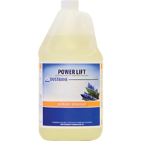 Power Lift Industrial Degreaser, 4 L, Jug M & M Nord Ouest Inc
