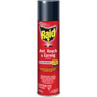 Insecticide contre fourmis, coquerelles et perce-oreilles Raid, 350 g, &agrave; base de solvant M & M Nord Ouest Inc