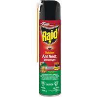 Insecticide destructeur de nids de fourmis Raid<sup>MD</sup> Extérieur, 400 g, Canette aérosol JM262 | M & M Nord Ouest Inc
