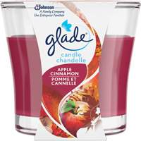 Glade&reg; Jar Candle, Apple Cinnamon M & M Nord Ouest Inc