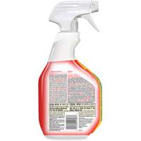 Disinfecting Bio Stain & Odour Remover, 946 ml, Trigger Bottle M & M Nord Ouest Inc