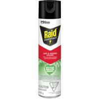 Insecticide pour araign&eacute;es et fourmis Essentials Raid, 350 g, Canette a&eacute;rosol M & M Nord Ouest Inc