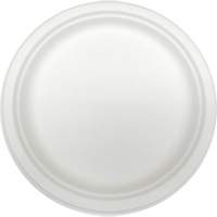 Plaques jetables en fibre moul&eacute;e M & M Nord Ouest Inc