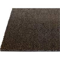 Tapis dint&eacute;rieur Palliser, Essuie-pieds/grattoir, 3-1/2' x 6' x 5/16", Anglis M & M Nord Ouest Inc