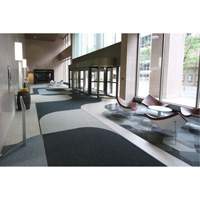 Tapis dentr&eacute;e Supreme Knob, Essuie-pieds/grattoir, 3-1/2' x 6' x 7/16", Charbon M & M Nord Ouest Inc