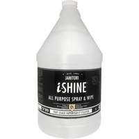 Nettoyant polyvalent &agrave; vaporiser et essuyer Janitori i-Shine, 4 L, Cruche M & M Nord Ouest Inc