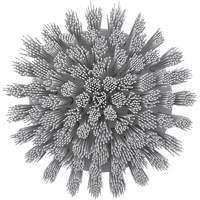HyDrive Round Drill Brush, Extra Stiff Bristles, 3-1/10" Long, White M & M Nord Ouest Inc
