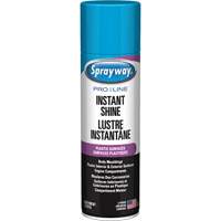 Brillant instantan&eacute; Pro Line pour surfaces en plastique, 11 oz, Canette a&eacute;rosol M & M Nord Ouest Inc