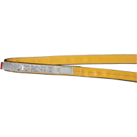 &eacute;lingues de levage en polyester, Pli Simple, Sans fin, Type 5, 1" la x 3' lo, Capacit&eacute; verticale 3200 lb M & M Nord Ouest Inc