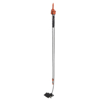 Mini palan &agrave; levier, Lev&eacute;e 20', Cabacit&eacute; 1000 lb (0,5 tonne), Chaîne en Acier M & M Nord Ouest Inc