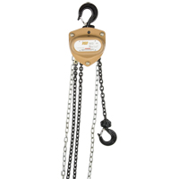 Heavy-Duty Gold Series Chain Hoist, 10' Lift, 2000 lbs. (1 tons) Capacity, Alloy Steel Chain M & M Nord Ouest Inc