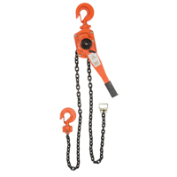 Lever Chain Hoist, 5' Lift, 6000 lbs. (3 tons) Capacity, Alloy Steel Chain M & M Nord Ouest Inc