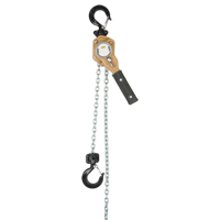 Heavy Duty Gold Series Lever Chain Hoist, 10' Lift, 500 lbs. (0.25 tons) Capacity, Alloy Steel Chain M & M Nord Ouest Inc