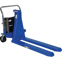 Electric Skid Lift, Steel, 2500 lbs. Capacity LV543 | M & M Nord Ouest Inc