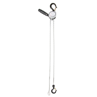 Mini Lever Hoist, 5' Lift, 500 lbs. (0.25 tons) Capacity, Zinc Plated Chain M & M Nord Ouest Inc
