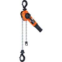 Series 653™-A Ratchet Lever Hoist, 5' Lift, 1500 lbs. (0.75 tons) Capacity, Steel Chain LW423 | M & M Nord Ouest Inc