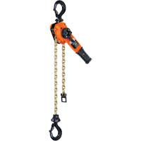 Series 653™-A Ratchet Lever Hoist, 5' Lift, 3000 lbs. (1.5 tons) Capacity, Steel Chain LW425 | M & M Nord Ouest Inc