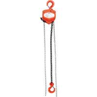 Chain Hoist, 10' Lift, 10000 lbs. (5 tons) Capacity, Alloy Steel Chain M & M Nord Ouest Inc