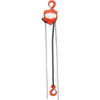 Chain Hoist, 20' Lift, 1000 lbs. (0.45 tons) Capacity, Alloy Steel Chain M & M Nord Ouest Inc