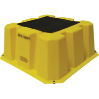 Step Stand/Stool