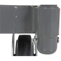 Platform Truck, 48" L x 24" W, 2000 lbs. Capacity, Rubber Casters M & M Nord Ouest Inc