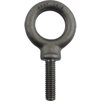 Alloy Steel Eye Bolt, 1" Dia., 1-1/4" L, 1480 lbs. (0.74 tons)/1480 lbs. Capacity M & M Nord Ouest Inc