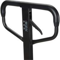 Transpalette manuel Quick-Lift, Acier, 48" lo x 20,5" la, Capacit&eacute; 5500 lb M & M Nord Ouest Inc