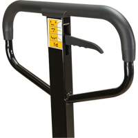 Transpalette manuel, Acier, 48" lo x 27" la, Capacit&eacute; 5500 lb M & M Nord Ouest Inc